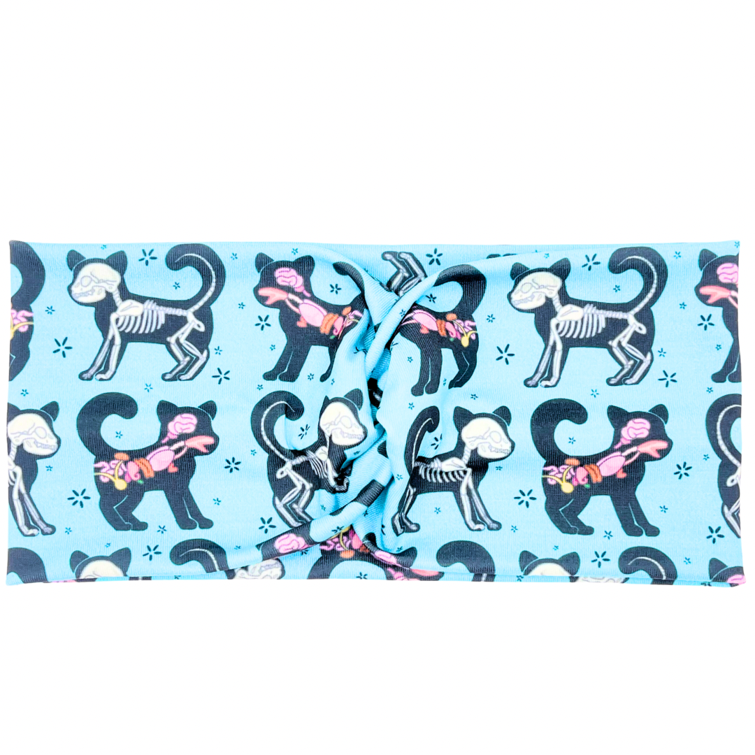 Cat Anatomy - Blue Headband