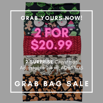 CHRISTMAS GRAB BAG SALE - 2 Classic Headband